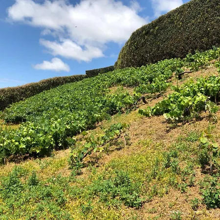 Quinta Do Pico Σπίτι διακοπών Πόντα Ντελγκάντα