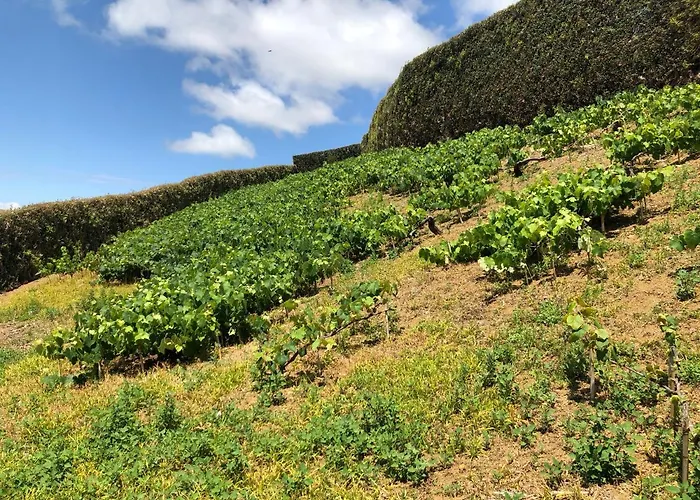 Quinta Do Pico 別荘 ポンタ・デルガダ